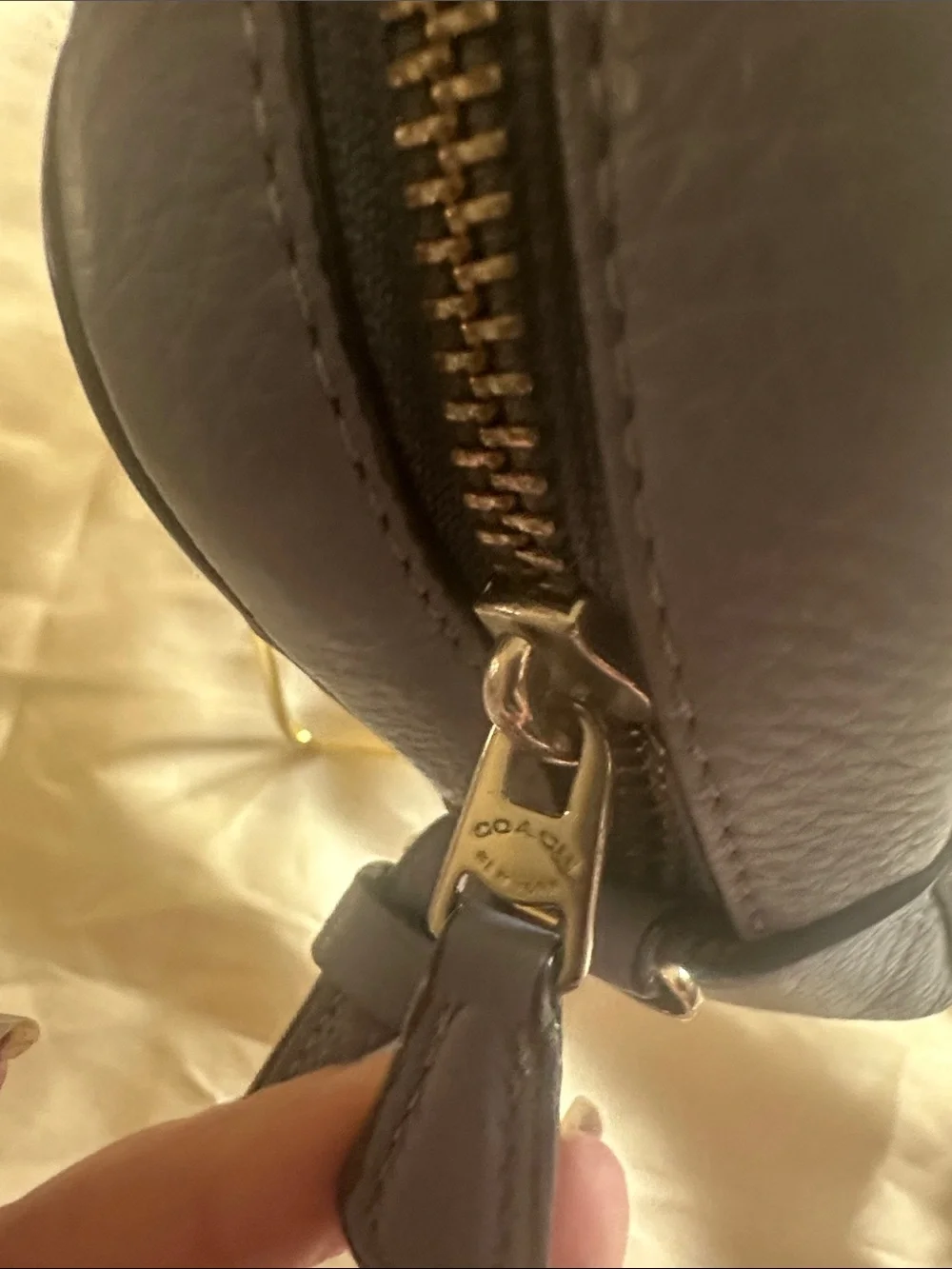 Coach Disney Blue Cinderella Leather Crossbody Bag C3406